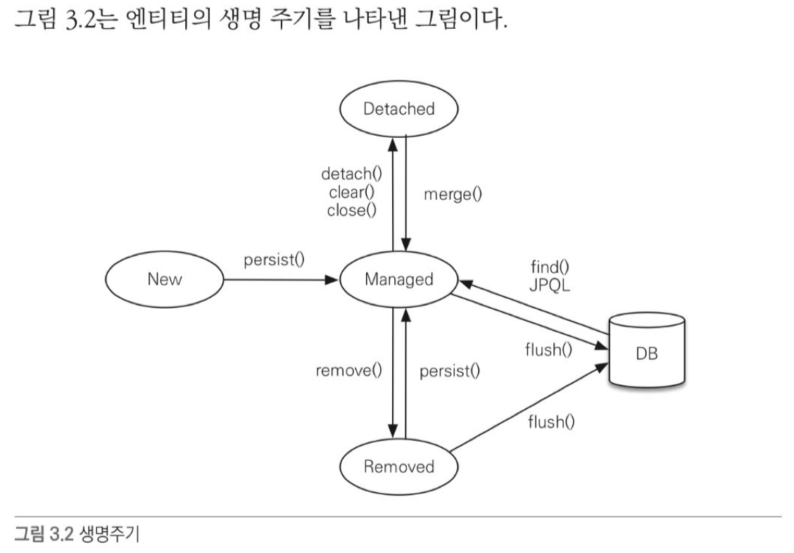 생명주기